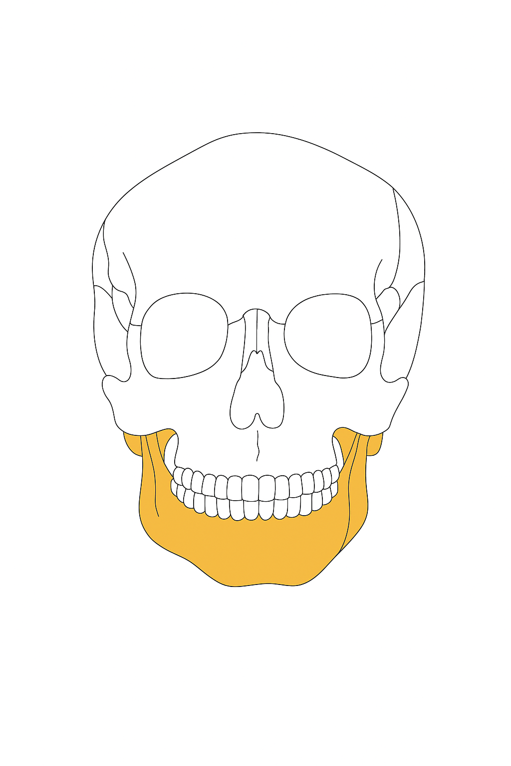 Sistema de fijación mandibular