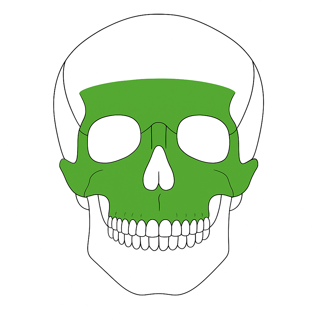 Sistema de fijación maxilofacial